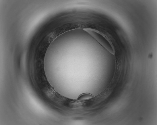 X0000115770383200911271146