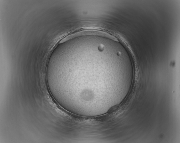 X0000115770385200911271146