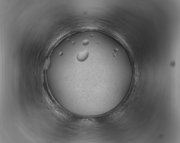 X0000115770386200911271146