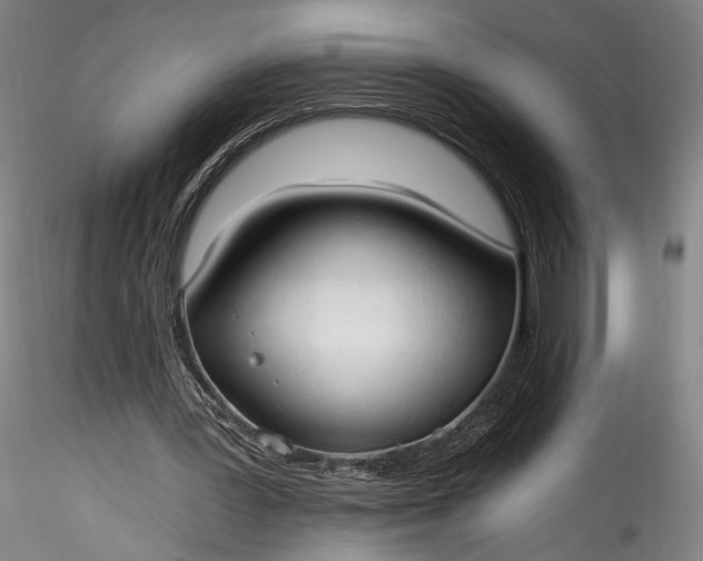 X0000115770387200911271146