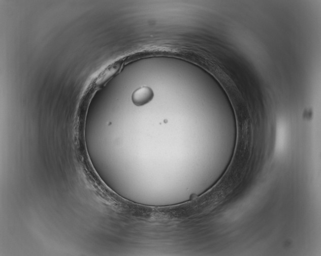 X0000115770388200911271145