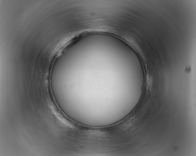 X0000115770389200911271145