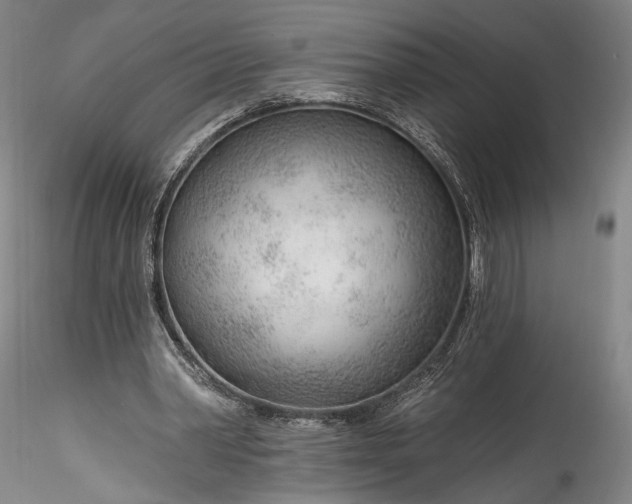 X0000115770390200911271145