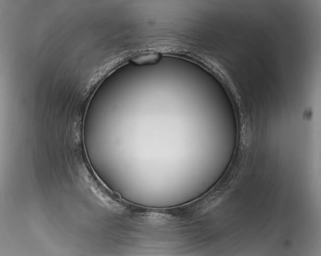 X0000115770393200911271145