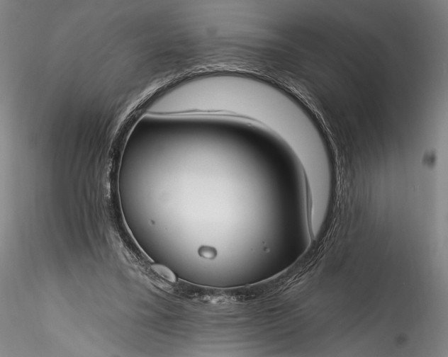 X0000115770395200911271145