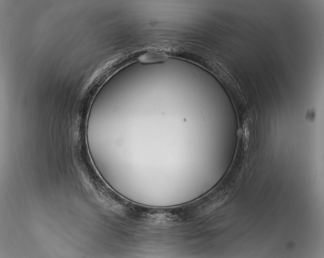 X0000115770396200911271145