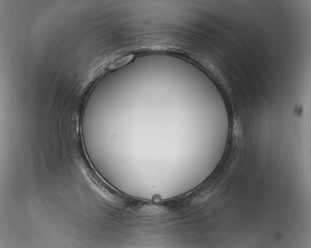 X0000115770397200911271145