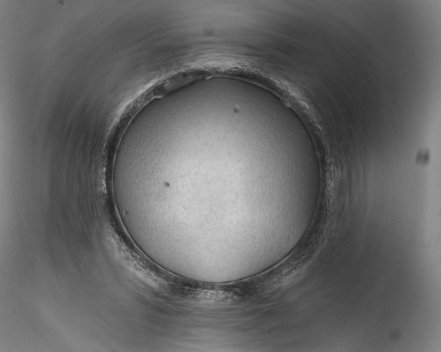 X0000115770399200911271145