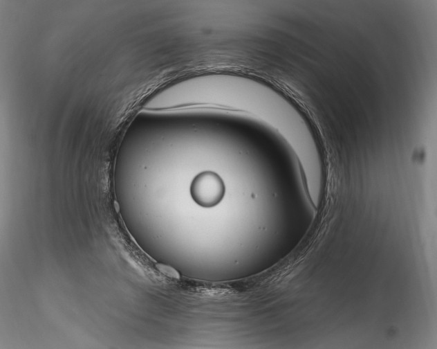 X0000115770401200911271145