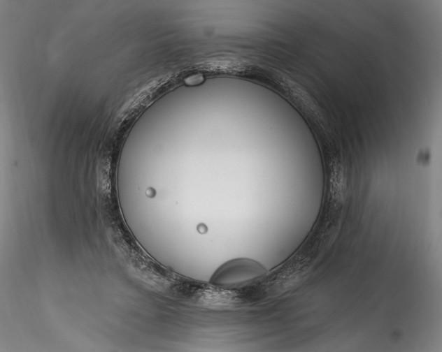 X0000115770403200911271145