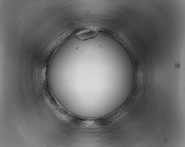 X0000115770406200911271145