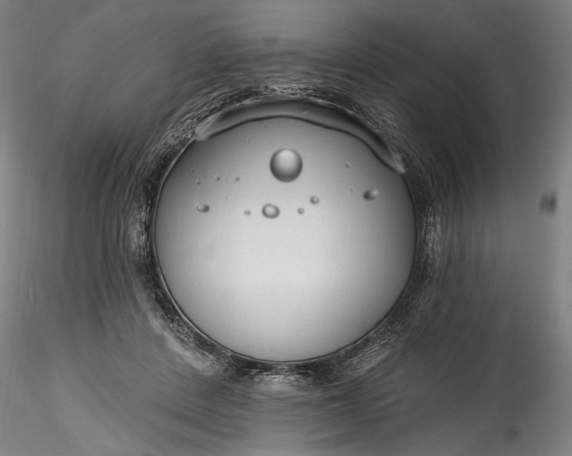 X0000115770408200911271145