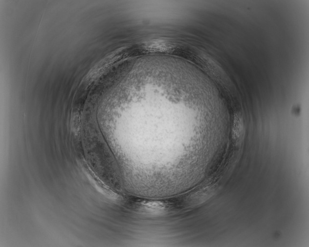 X0000115770409200911271145