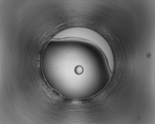 X0000115770413200911271145