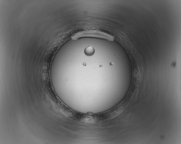 X0000115770416200911271145