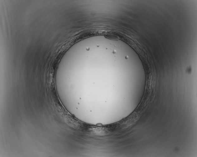 X0000115770417200911271145