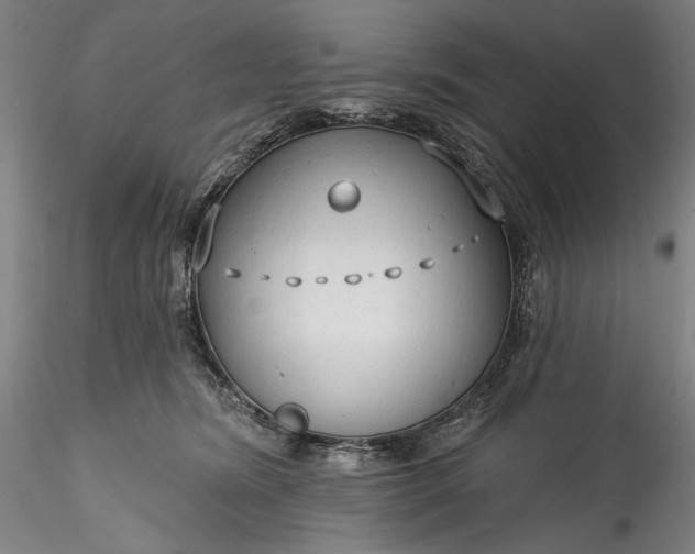 X0000115770420200911271145