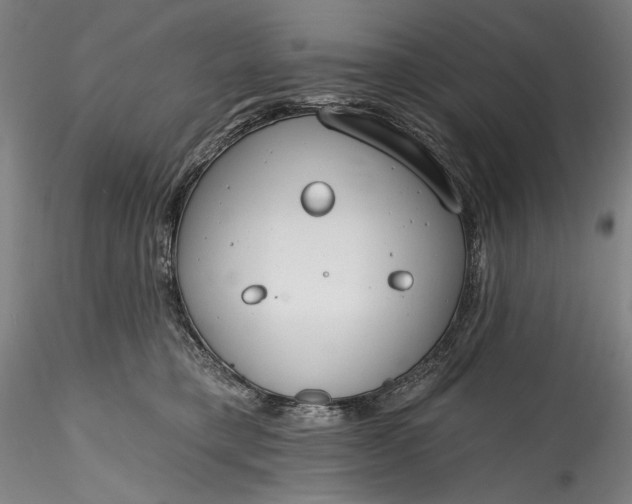 X0000115770421200911271145