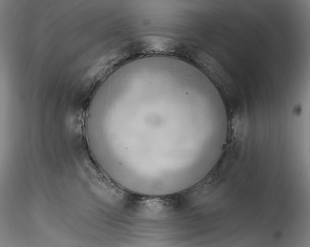 X0000115770423200911271145