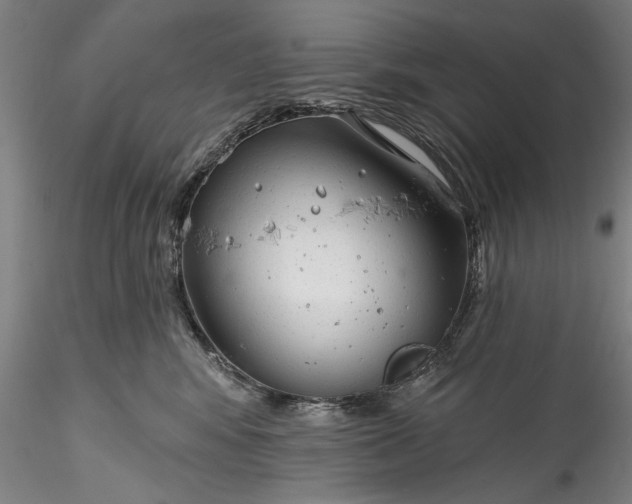 X0000115770424200911271145