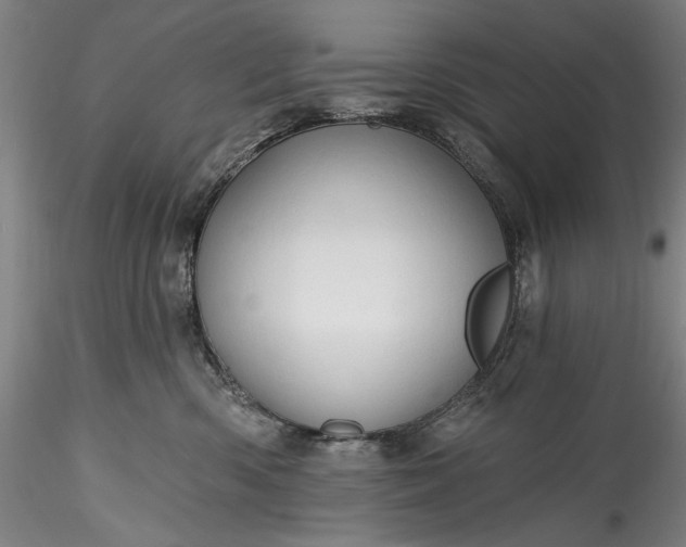 X0000115770426200911271145