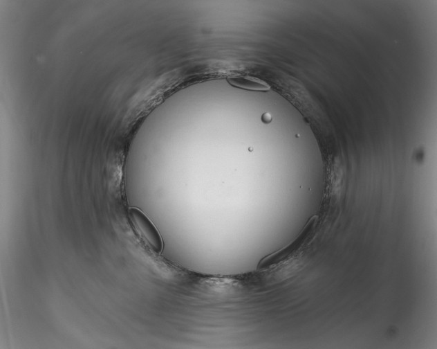 X0000115770427200911271145