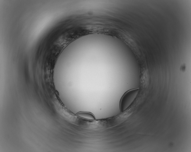 X0000115770430200911271145