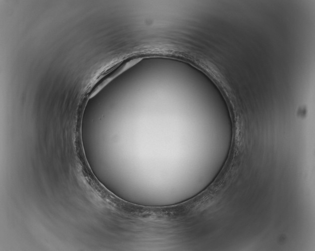 X0000115770434200911271144