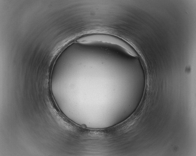 X0000115770437200911271144