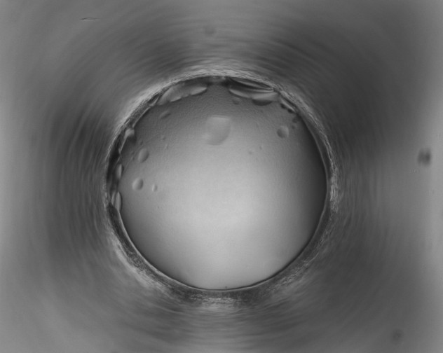 X0000115770438200911271144