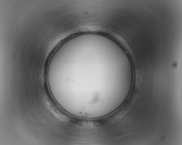 X0000115770439200911271144