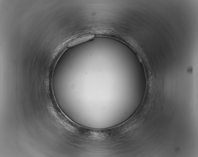 X0000115770442200911271144