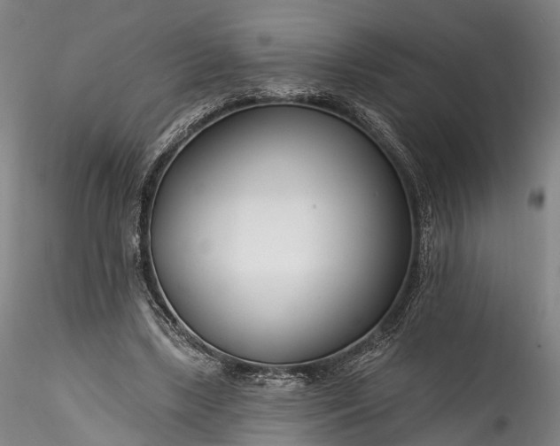 X0000115770443200911271144