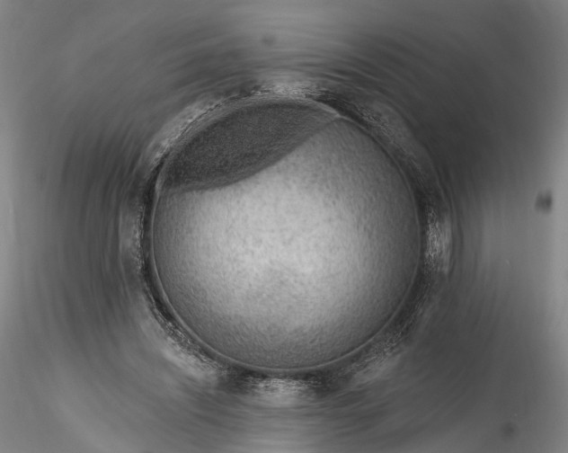 X0000115770444200911271144