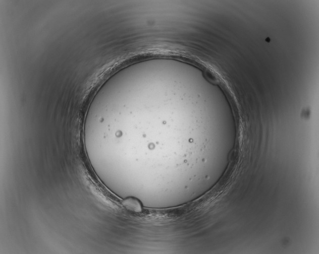 X0000115770445200911271144