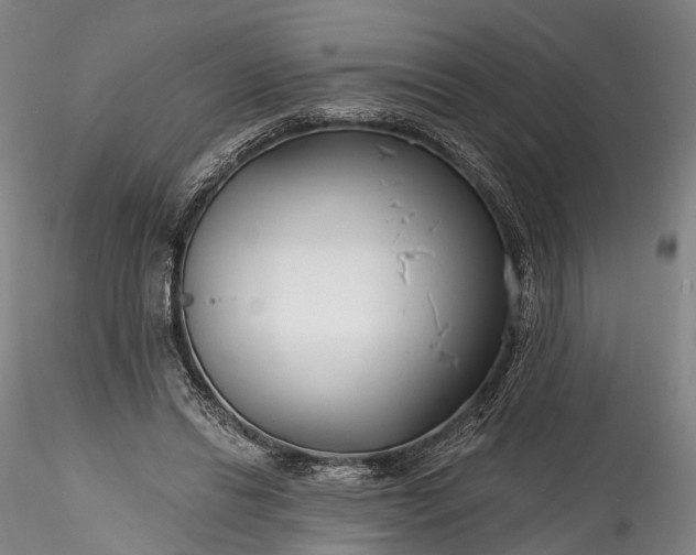 X0000115770446200911271144