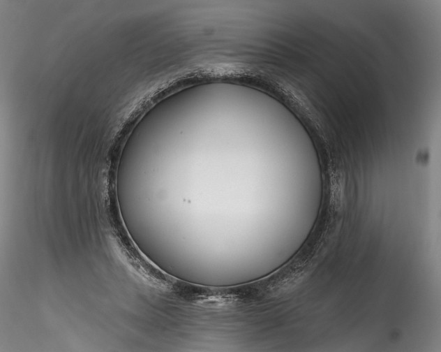 X0000115770447200911271144