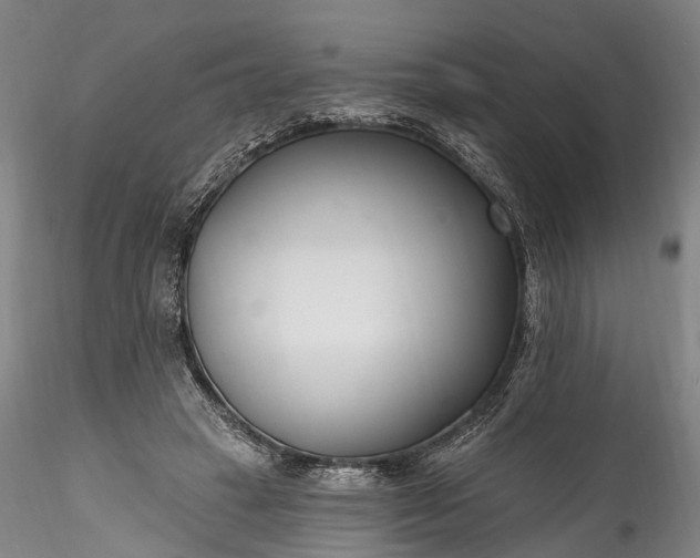 X0000115770449200911271144