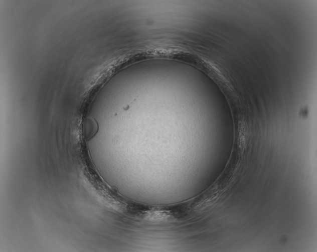 X0000115770451200911271144