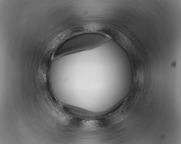 X0000115770452200911271144