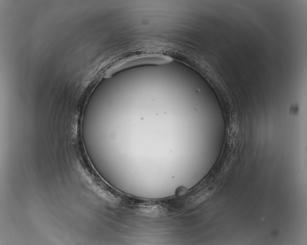 X0000115770454200911271145