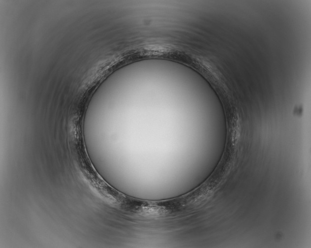 X0000115770455200911271145