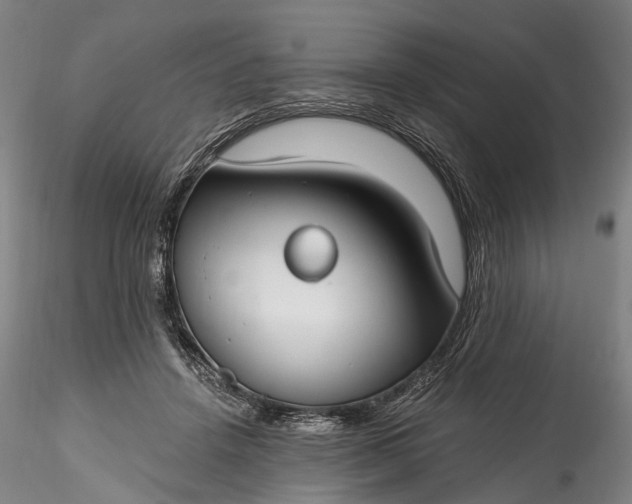 X0000115770456200911271145