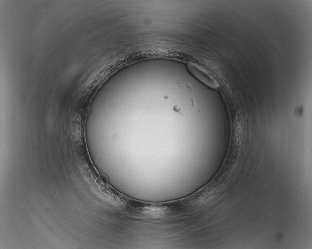 X0000115770457200911271145