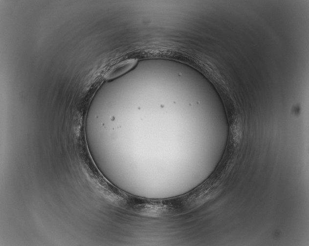 X0000115770458200911271145