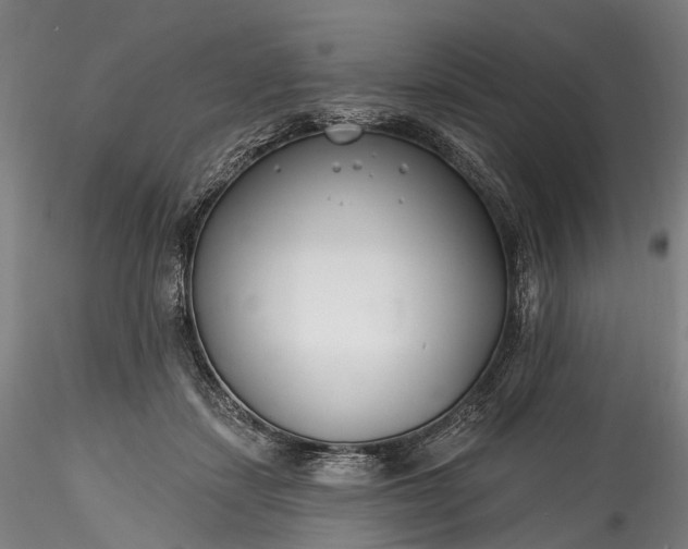 X0000115770459200911271145