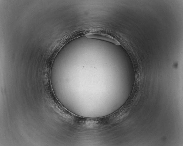 X0000115770462200911271145