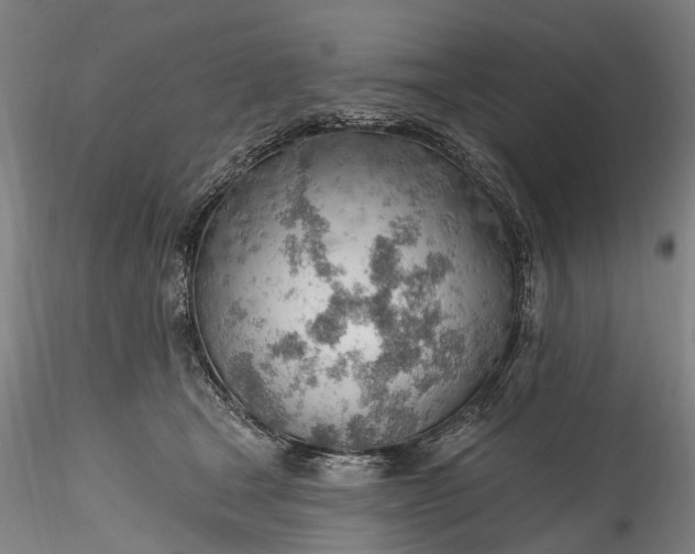 X0000115770465200911271145