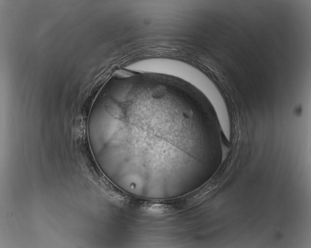 X0000115770467200911271145