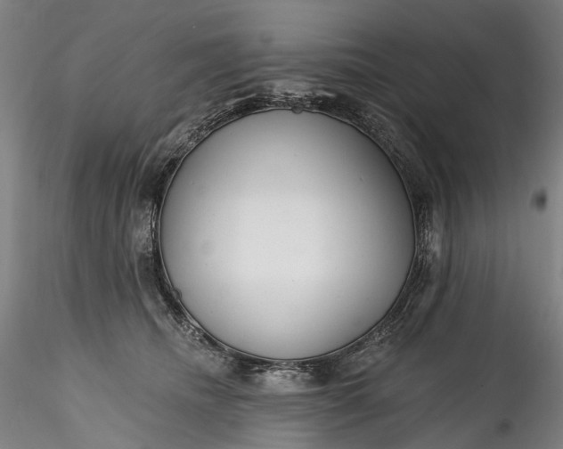 X0000115770468200911271145